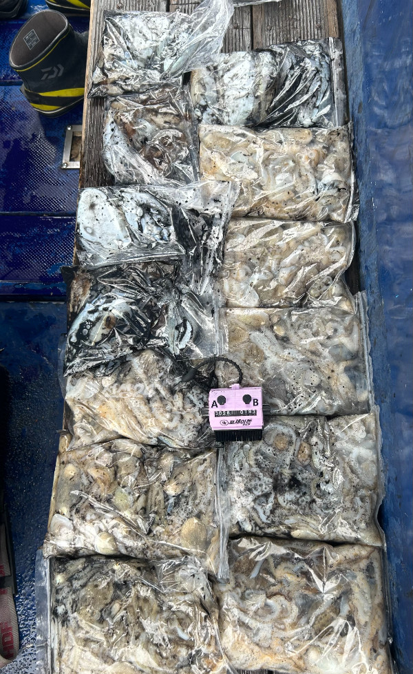 1791016227968.jpg