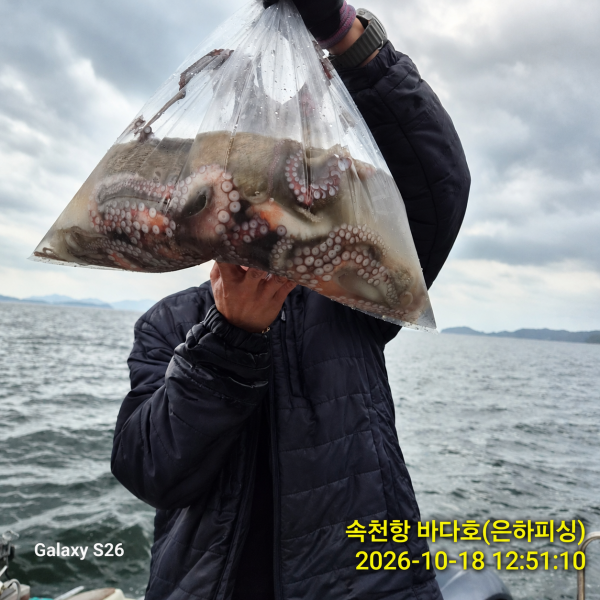 file_000000002ddc8209afee15067e4cb340.png