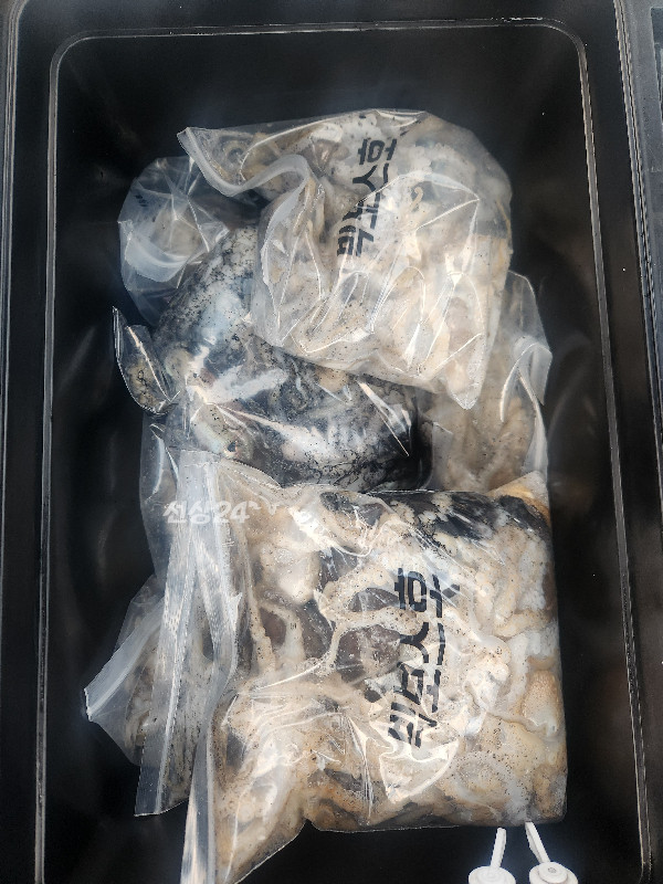 KakaoTalk_20261004_204302667_11.jpg