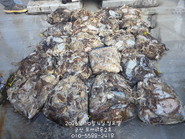 1000042753.jpg