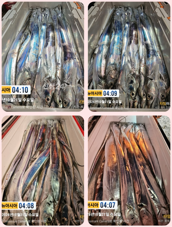 KakaoTalk_20261021_125458834_25-tile.jpg