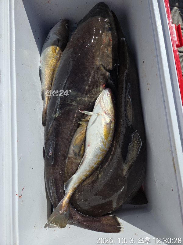 1000003321.jpg