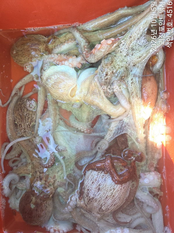 KakaoTalk_20261005_172649510_12.jpg