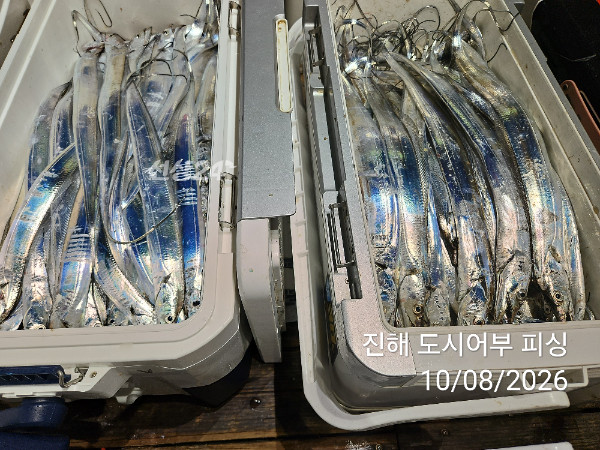 KakaoTalk_20261008_051056035_14.jpg
