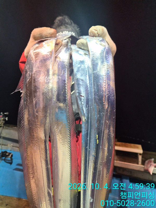 BandPhoto_2026_10_04_07_30_45_19.jpg