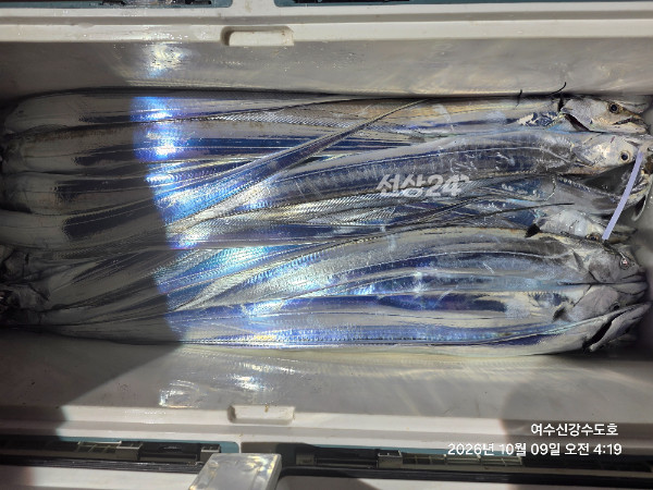 1000047054.jpg