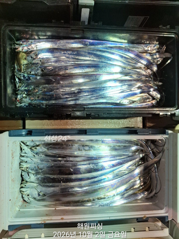 1000037120.jpg
