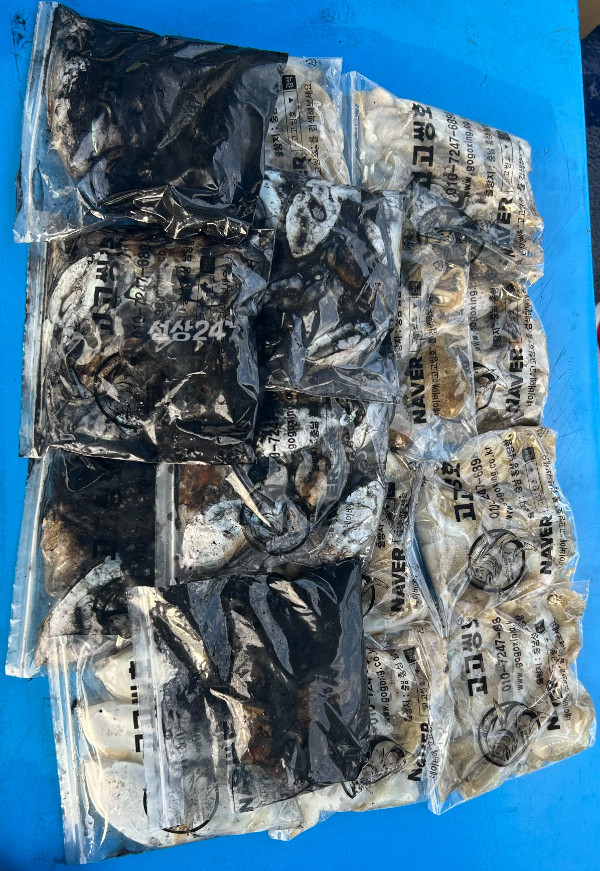 1791535084540.jpg