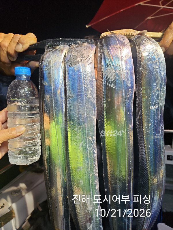 KakaoTalk_20261021_040550071_06.jpg