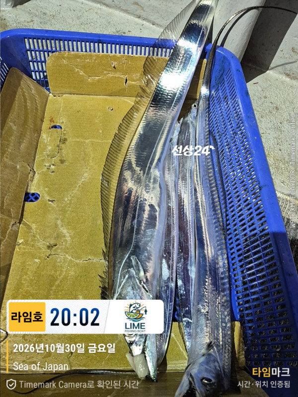 KakaoTalk_20261031_043559265_01.jpg