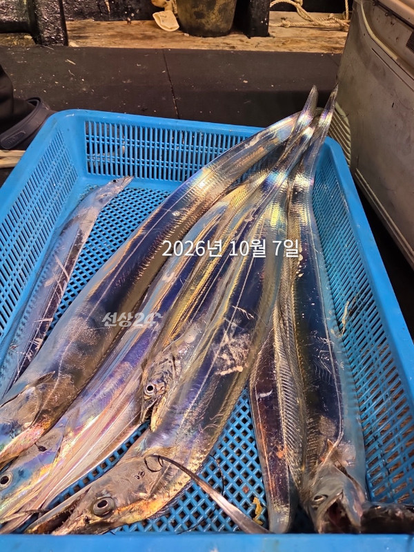 E247FCDD-A86F-4C95-A4C3-A00CF2980A45.jpeg