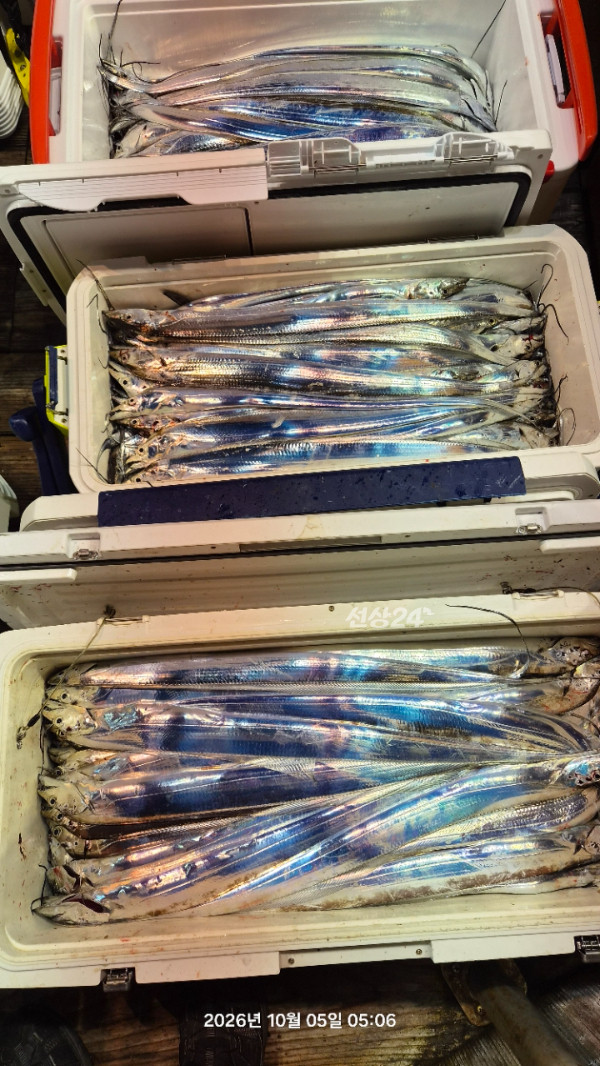 1004피싱_사진_20261005_11.jpg