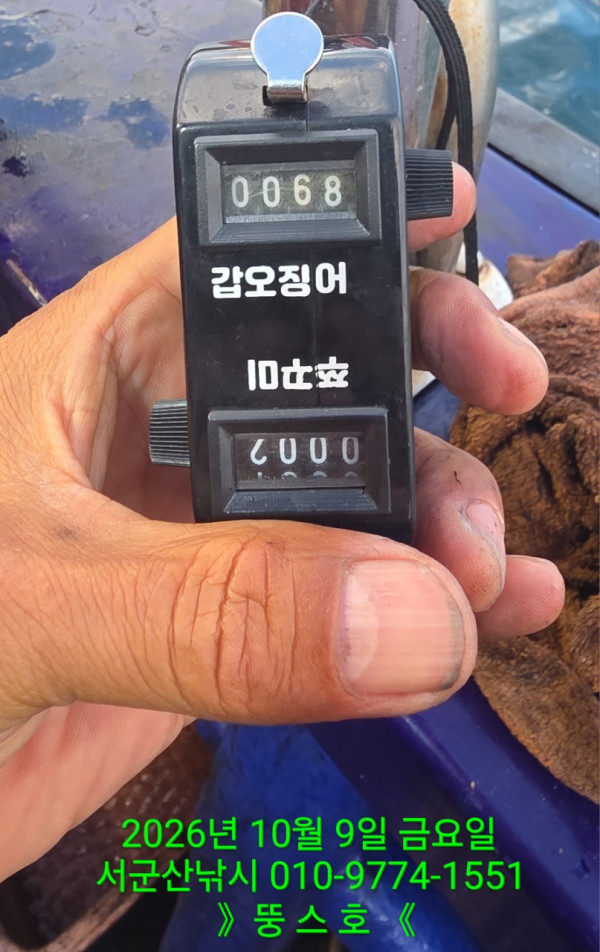 군산 선상낚시, 바다낚시 출조 전문 ☆서군산낚시☆_사진_20261009_10.jpg