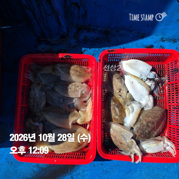 KakaoTalk_20261028_174415416_02.jpg