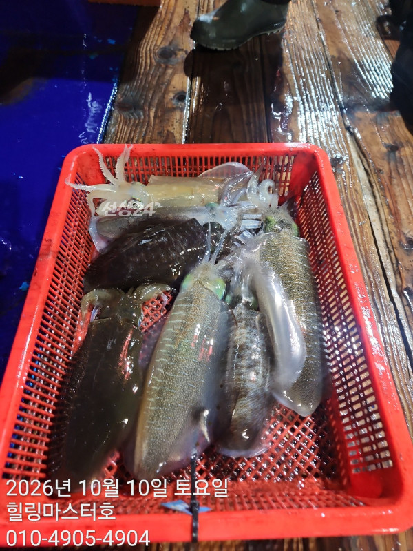 KakaoTalk_20261010_041557627_04.jpg