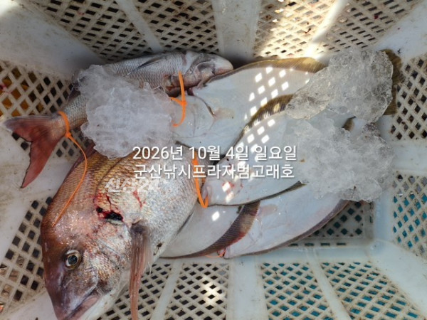 KakaoTalk_20261004_155855857_02.jpg