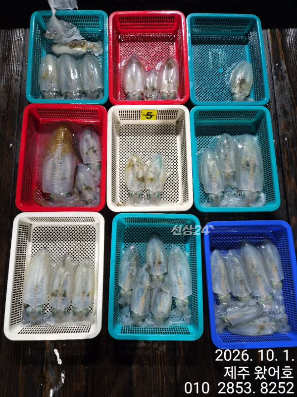 제주왔어호_사진_20261001_1.jpg