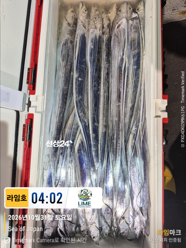 KakaoTalk_20261031_043559265_15.jpg