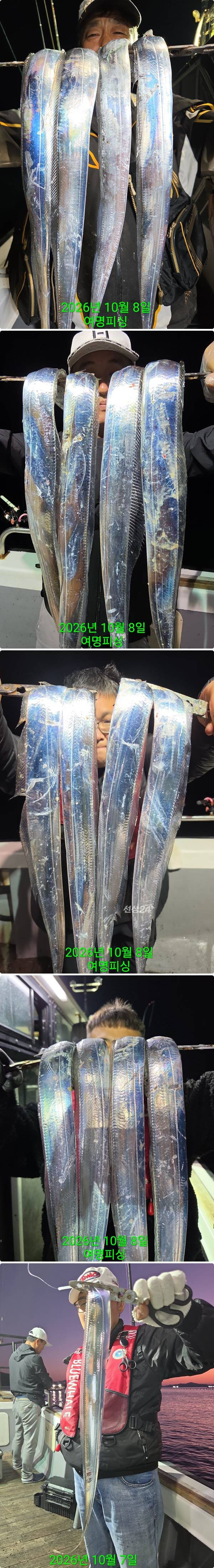 8일갈치상.jpg