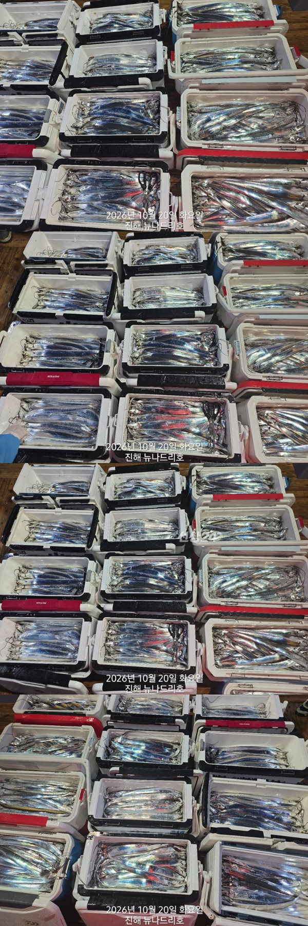 조2.jpg