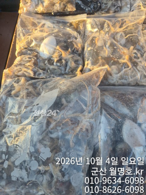 18117.jpg