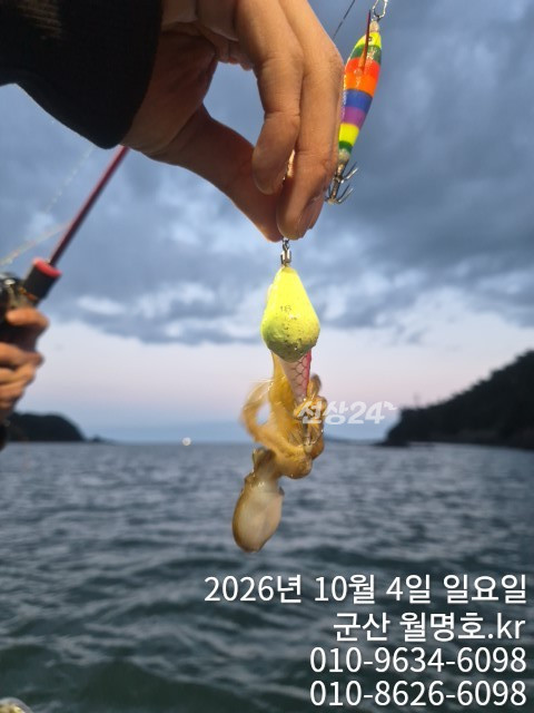 18063.jpg