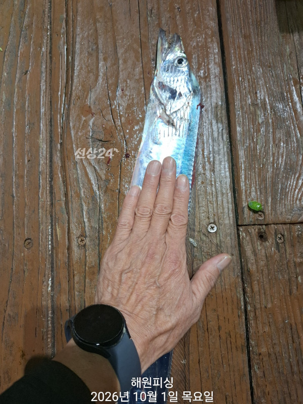 1000037106.jpg