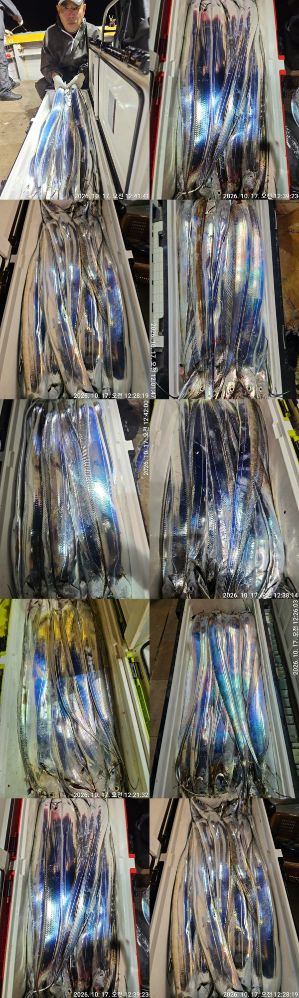 1040.jpg