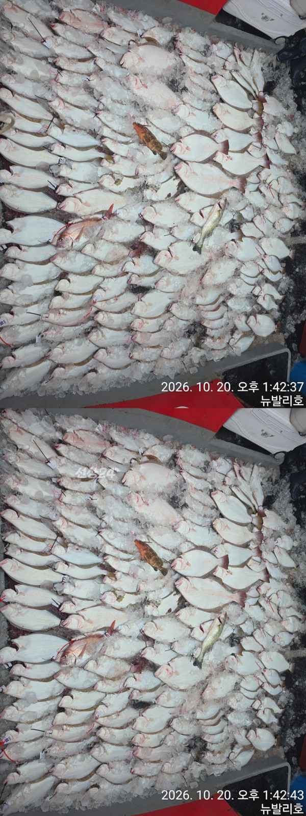 KakaoTalk_20261020_135552015_10-vert111111111.jpg