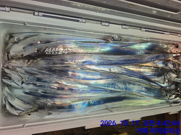 FE76E30B-2723-48DA-8D59-73164C3953EC.jpeg