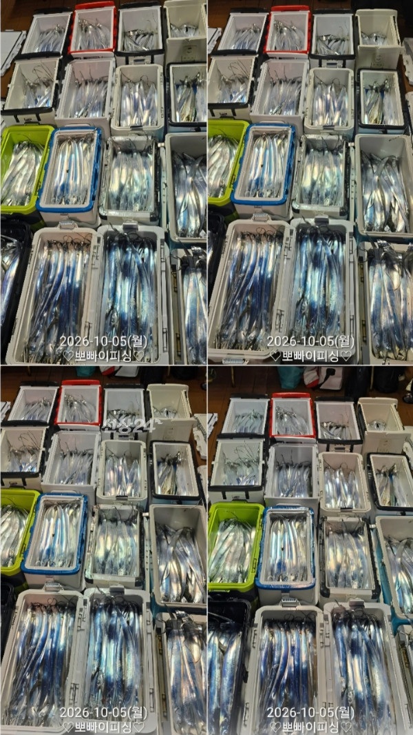 1000119074.jpg