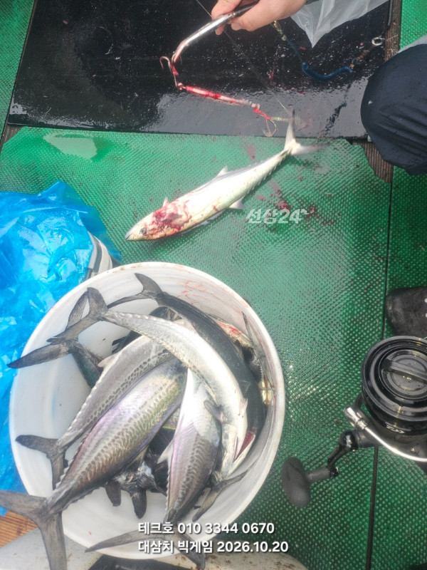 KakaoTalk_20261020_083152013_09.jpg