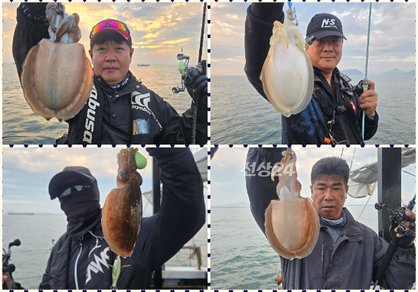 collage2.png