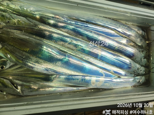 KakaoTalk_20261020_075839159_17.jpg