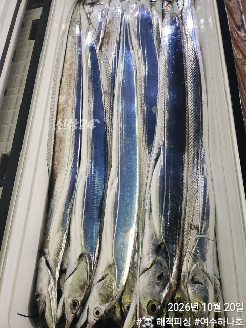 KakaoTalk_20261020_075839159_06.jpg