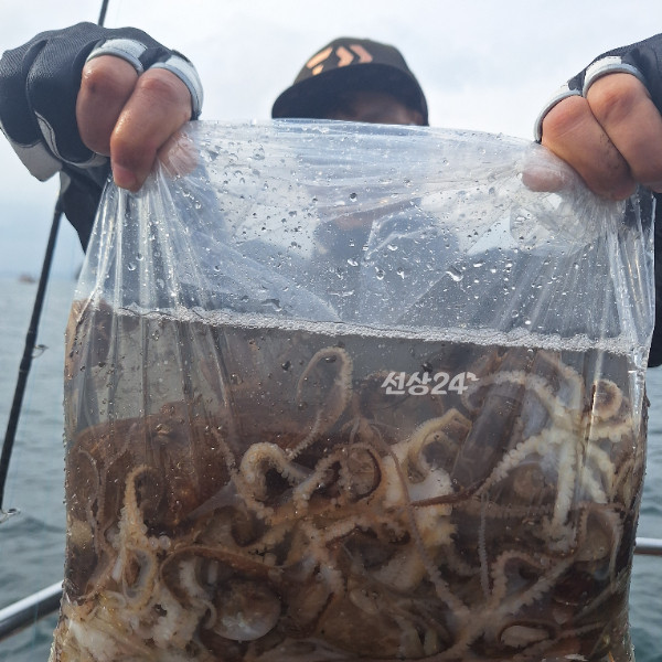 1000040682.jpg