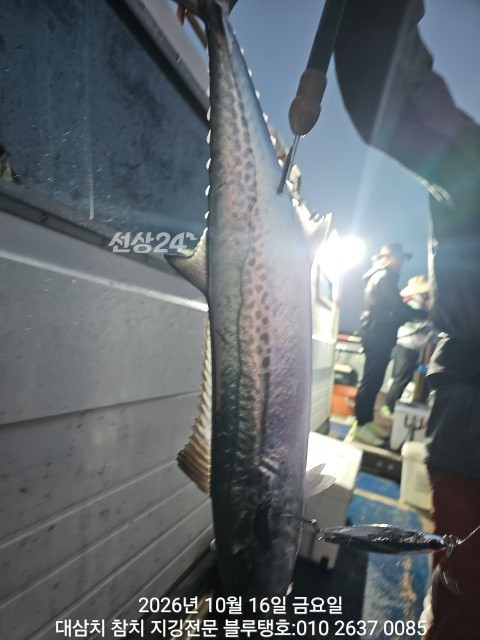 20261016_061100.jpg