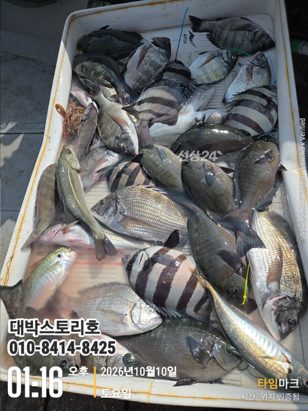 20685.jpg