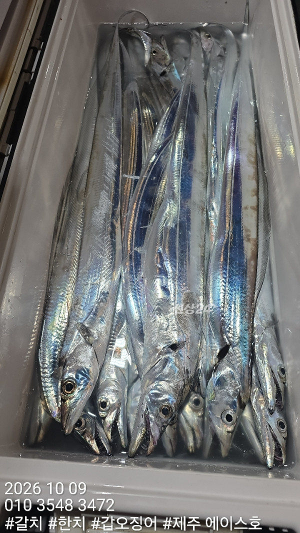 KakaoTalk_20261009_121551345_16.jpg