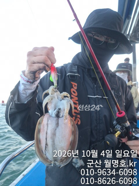 18074.jpg