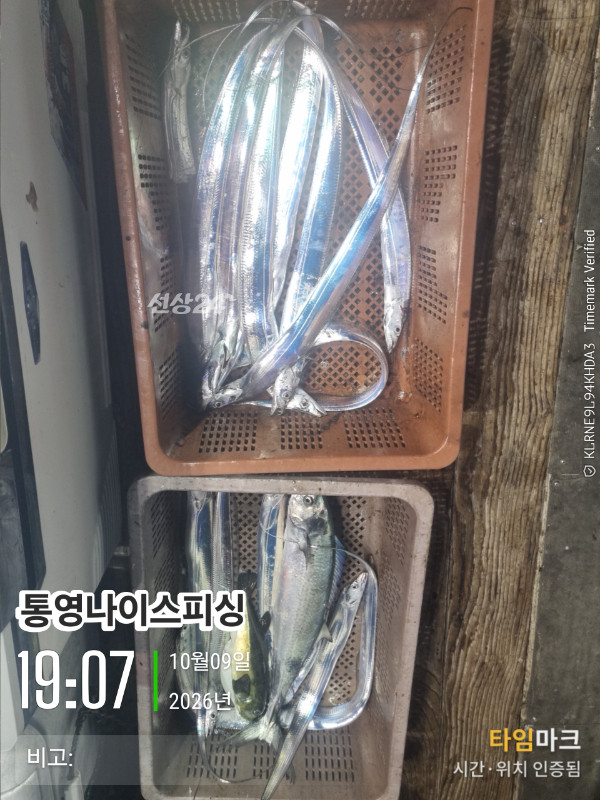 20261009_190717_글꼴-통영나이스피싱.jpg