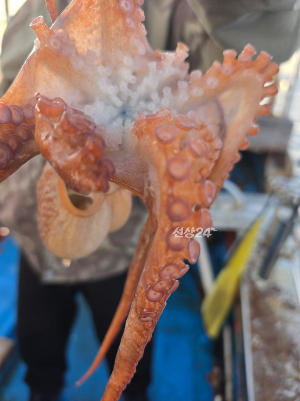 F9B9885A-8C52-4004-A4D8-D2828C12B100.jpeg