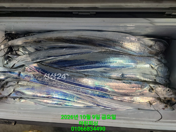 KakaoTalk_20261009_072903916_27.jpg