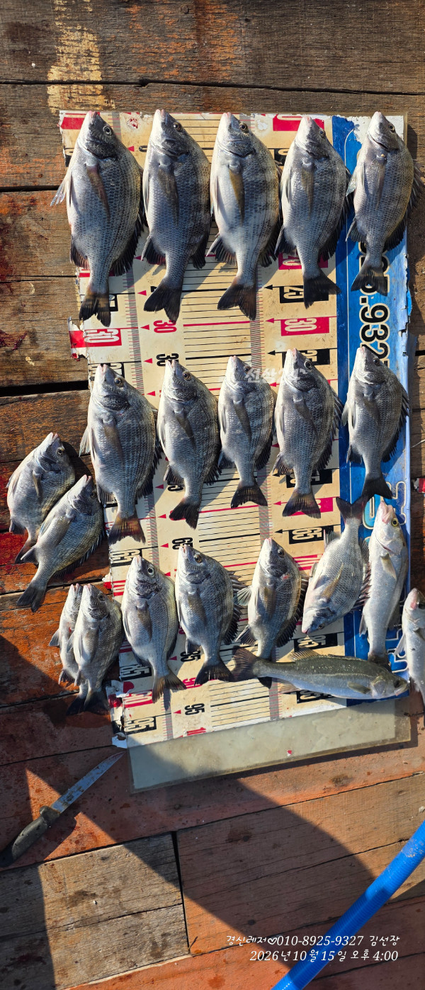 20261015_160036.jpg