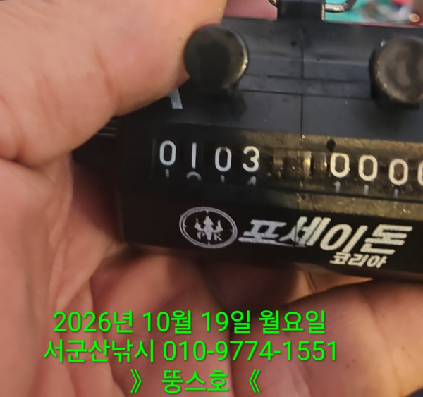 군산 선상낚시, 바다낚시 출조 전문 ☆서군산낚시☆_사진_20261019_5.jpg