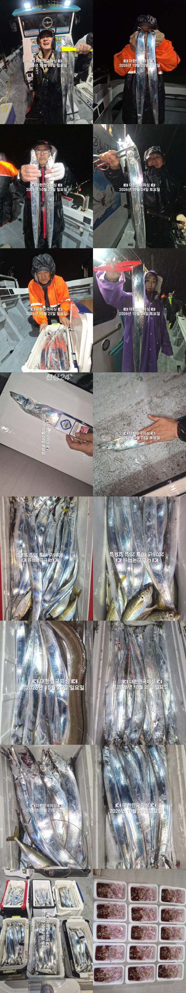 갈치1.jpg
