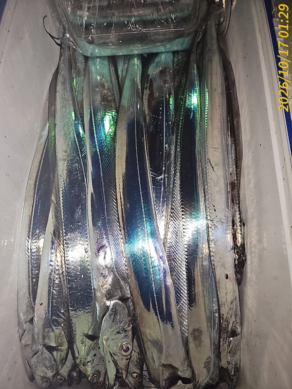 1000040129.jpg