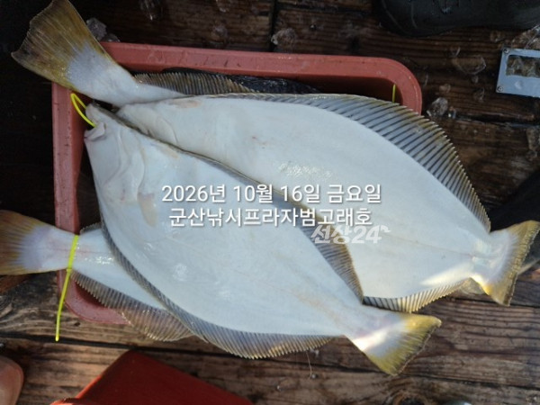 KakaoTalk_20261016_163731307_03.jpg