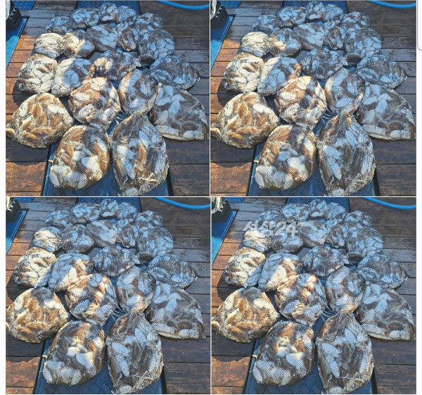 1000082363.jpg