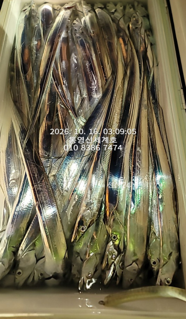1792100925188.jpg